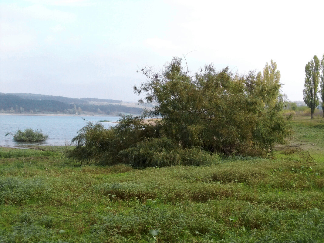 Пейзажи  Крыма - Валентин Семчишин