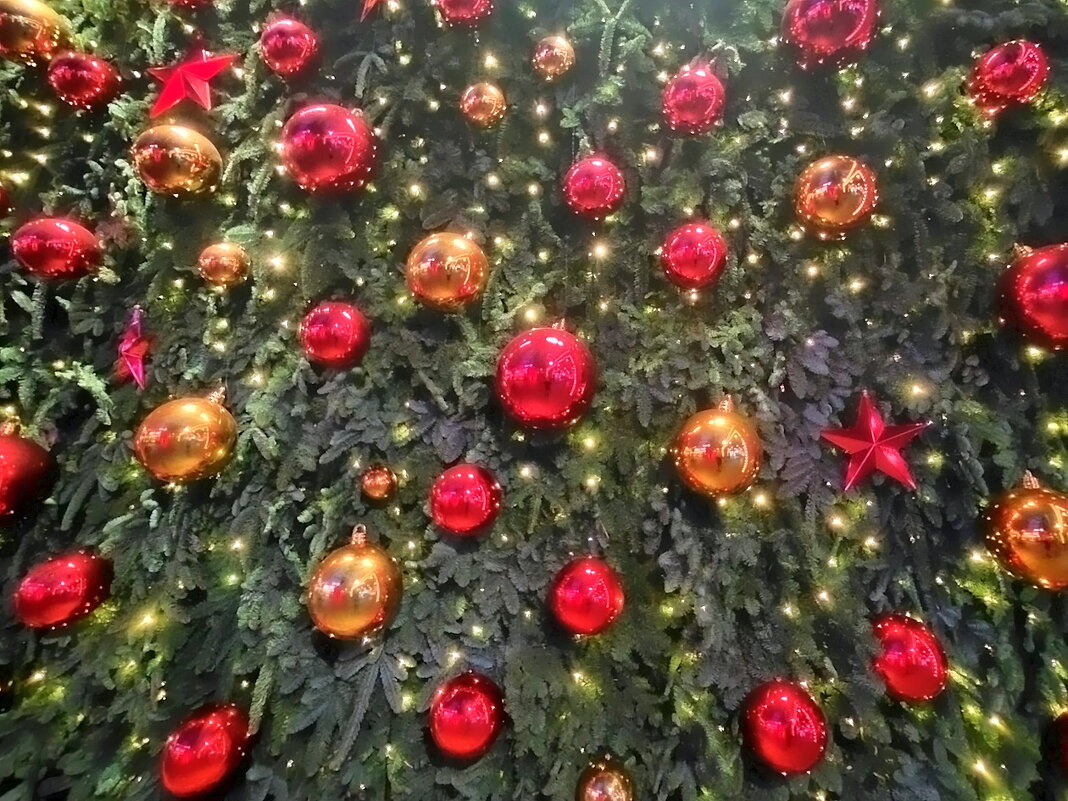 Новогодняя Москва - Ольга Довженко