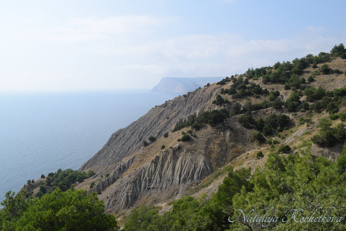 Природа Крыма - Amazing Cosmea Природа Крыма - Amazing Cosmea