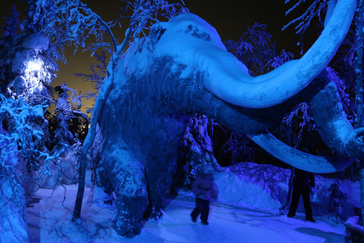 На тропинках "Таинственного леса" - Ольга 