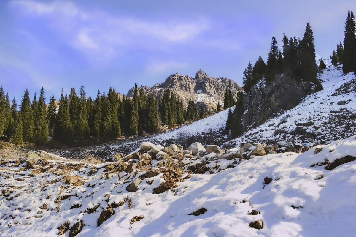 По первому снегу,в октябре - LudMila По первому снегу,в октябре - LudMila