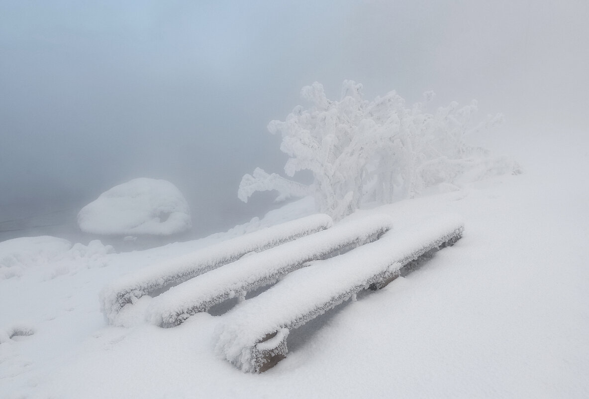Нежная изморозь - Марина Фомина. Нежная изморозь - Марина Фомина.