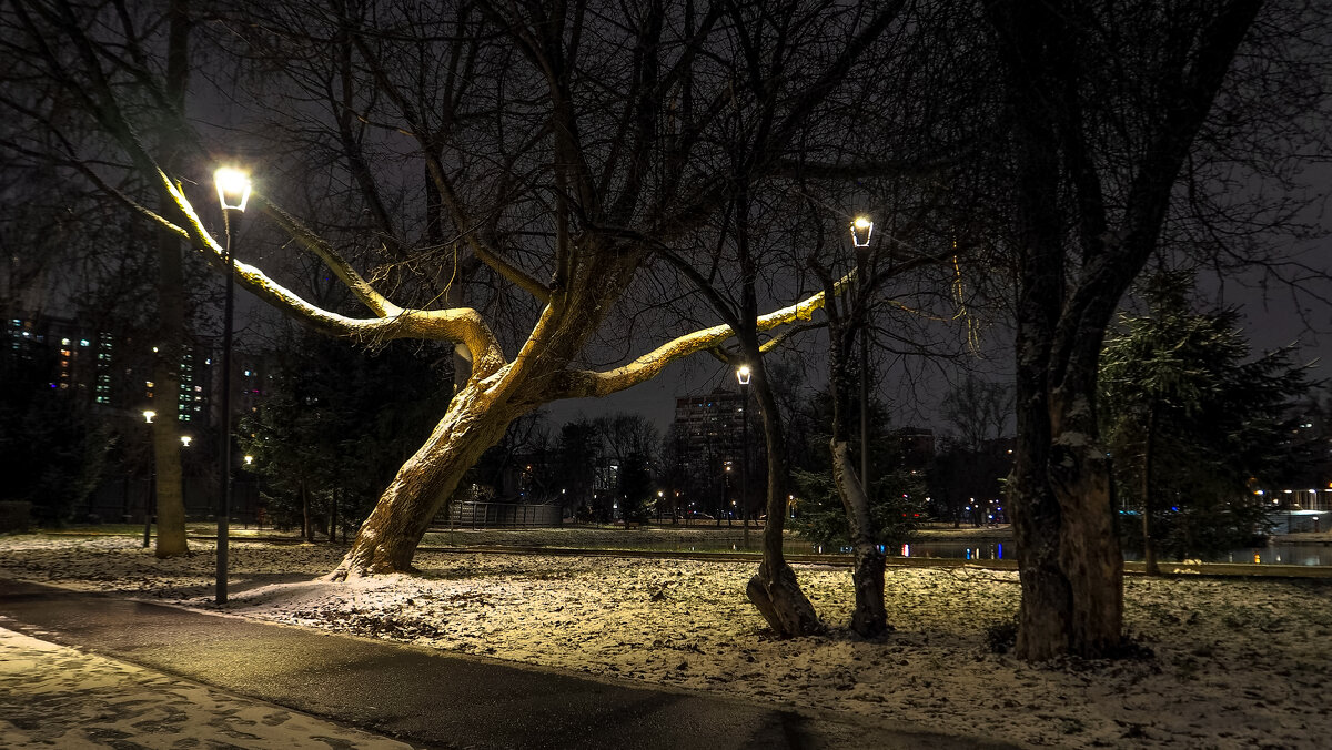Вечерний Город - юрий поляков