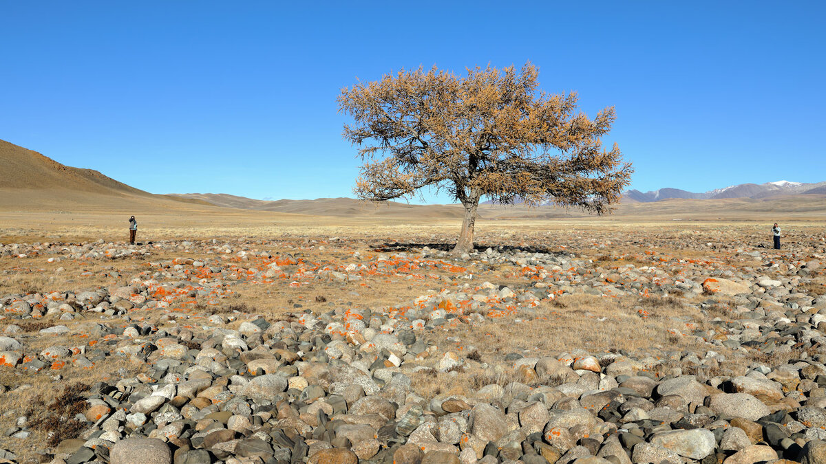 Одинокие... - владимир Одинокие... - владимир
