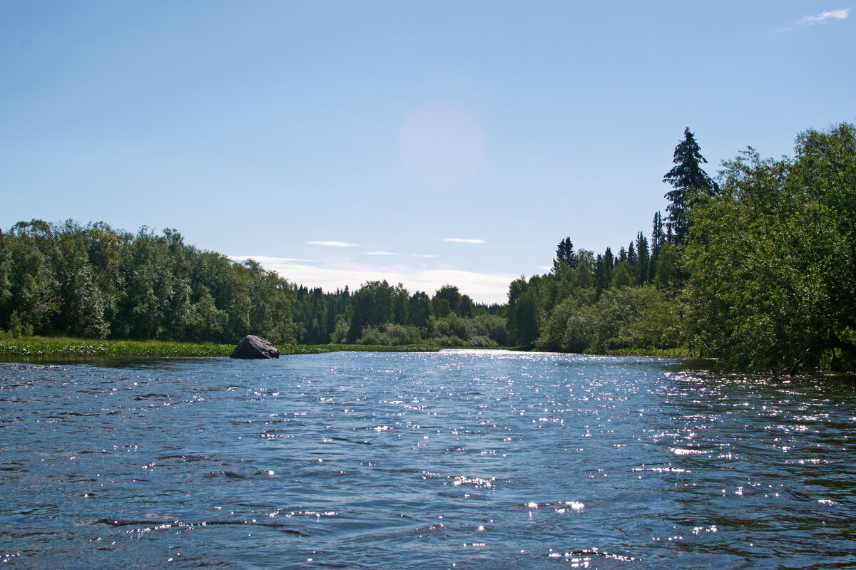Подчерем утром. - ВикТор Быстров Подчерем утром. - ВикТор Быстров