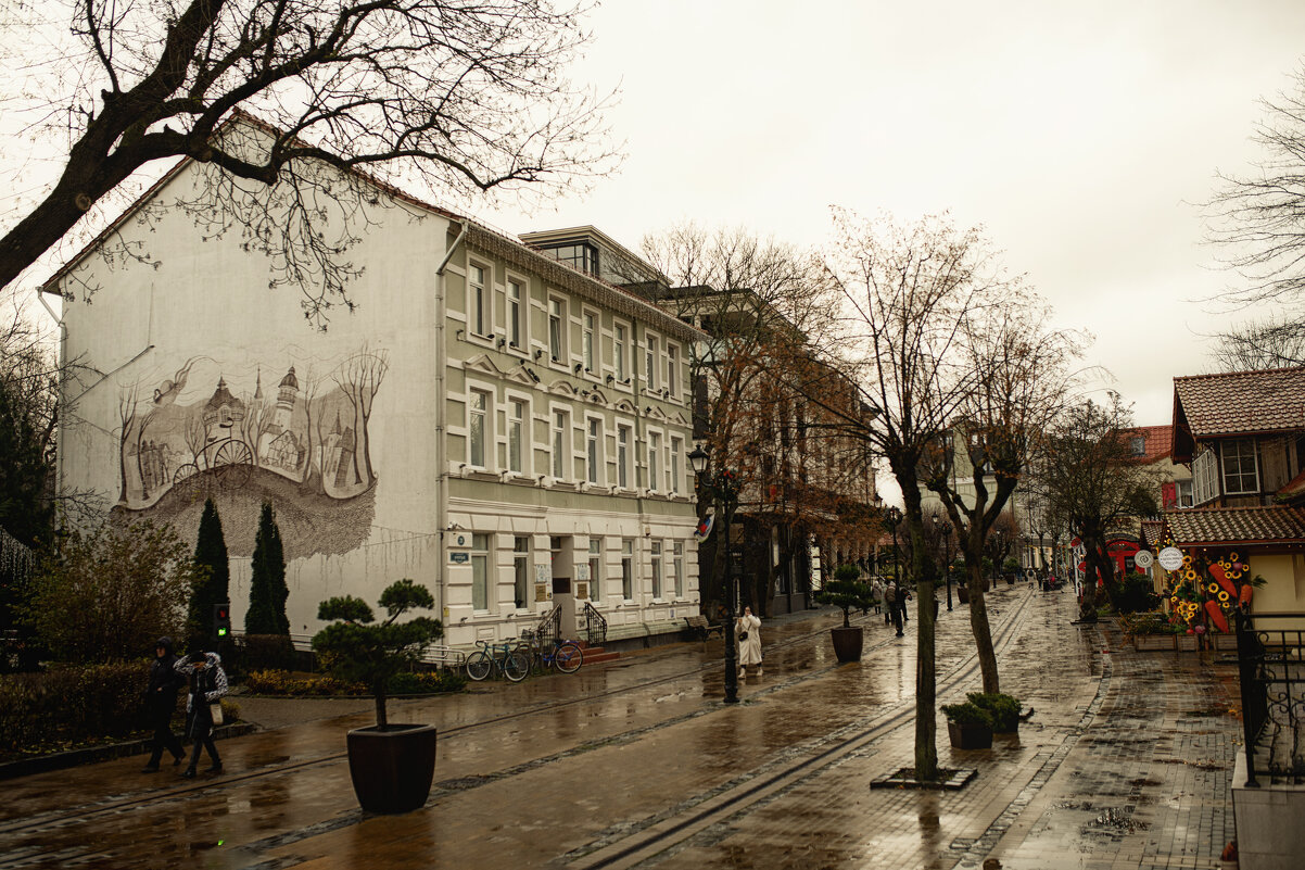 Приезжай в Зеленоградск за свежим воздухом.. - Лилия .