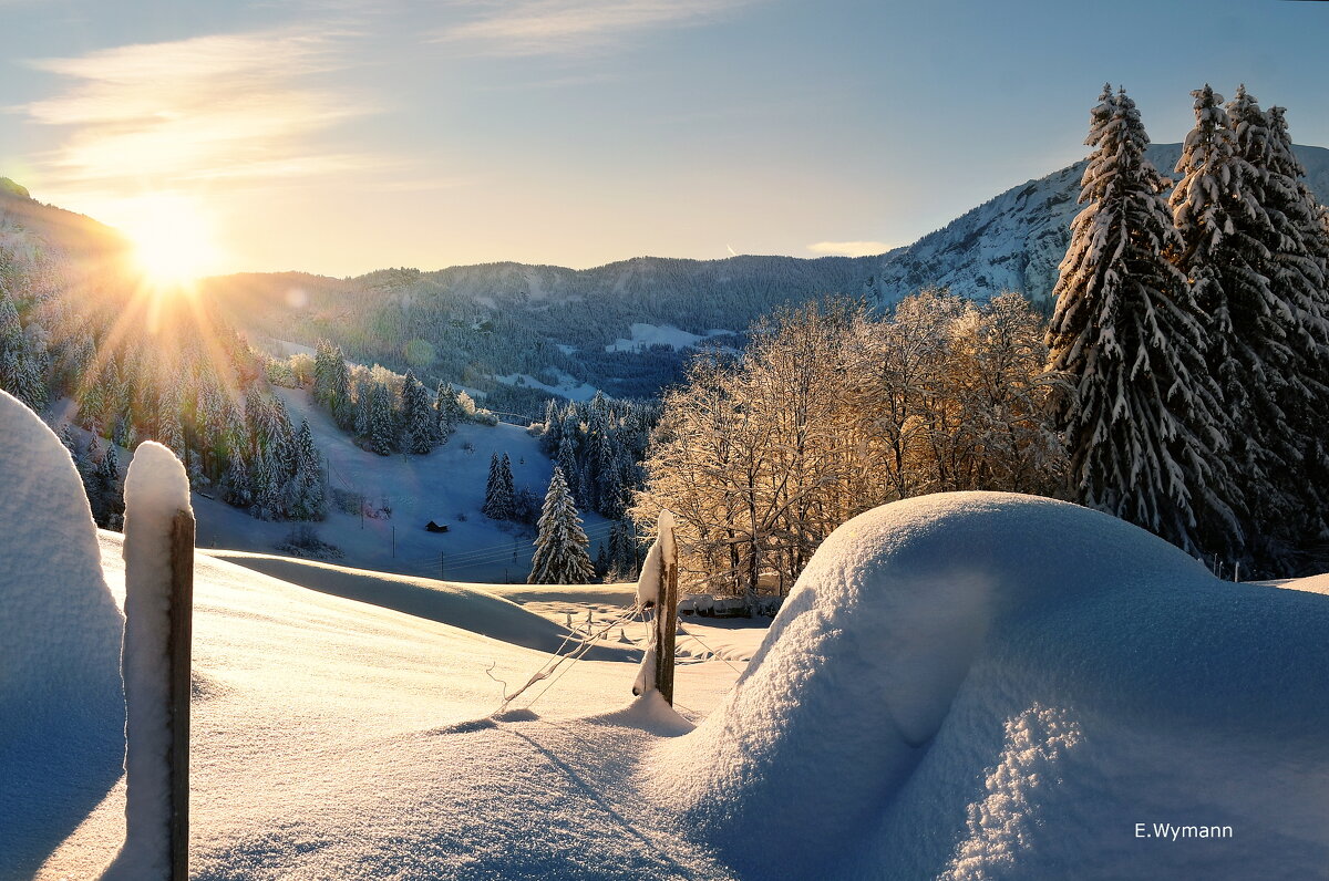 winter morning - Elena Wymann