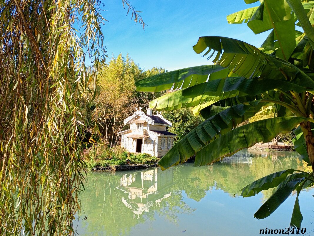 Адлер. Дендропарк "Южные культуры" - Нина Бутко Адлер. Дендропарк "Южные культуры" - Нина Бутко