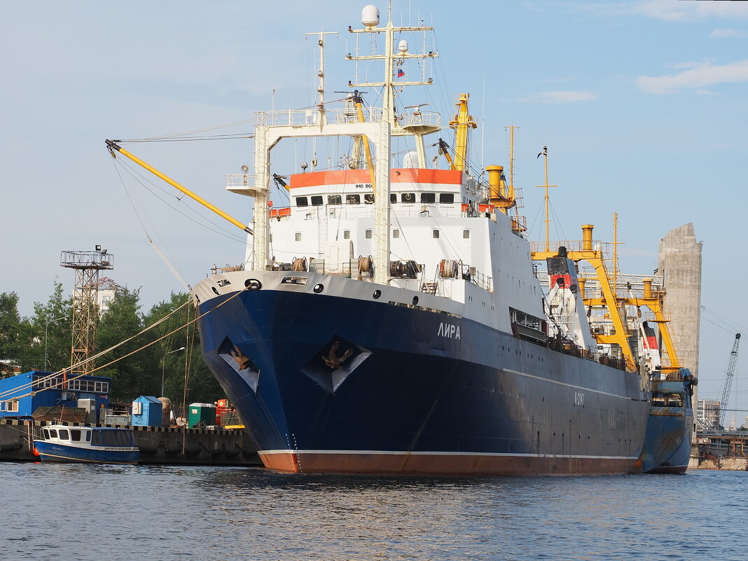 В порту Калининграда. - Евгений Седов