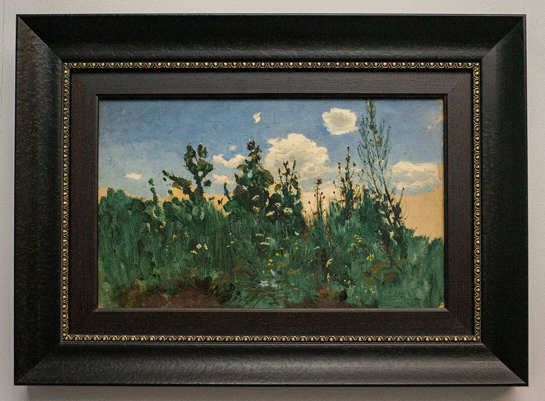 Бурьян - Ирина Соловьёва Бурьян - Ирина Соловьёва