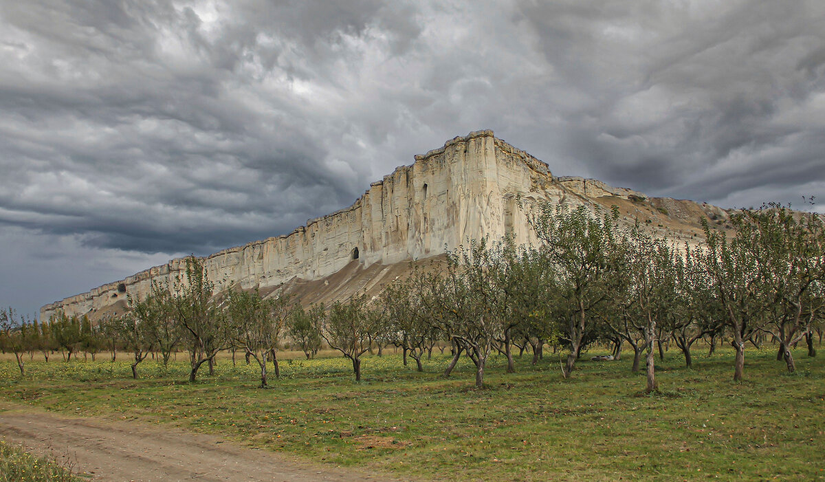 сад под скалой - РозаВетроф 