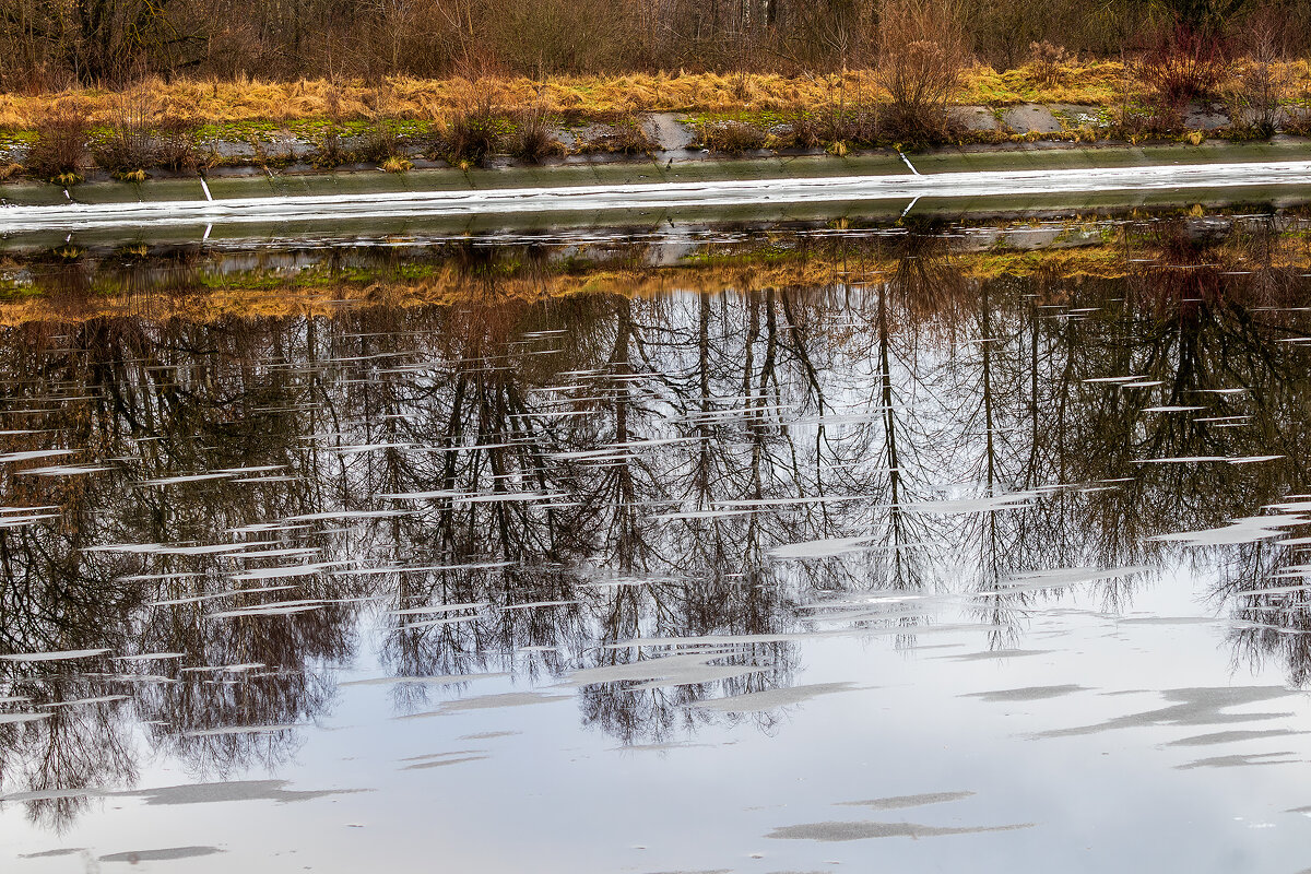 Про вторую половину декабря. - Анатолий. Chesnavik. Про вторую половину декабря. - Анатолий. Chesnavik.