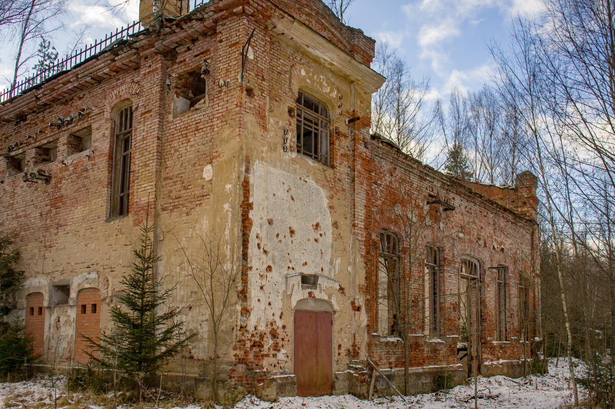 ТЭС - fogmeadowww m ТЭС - fogmeadowww m