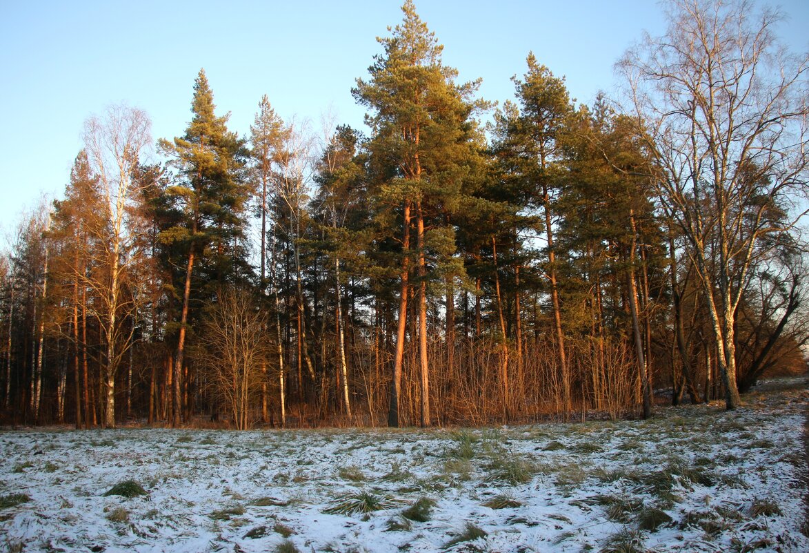 Парк Александрия - Наталья Герасимова Парк Александрия - Наталья Герасимова