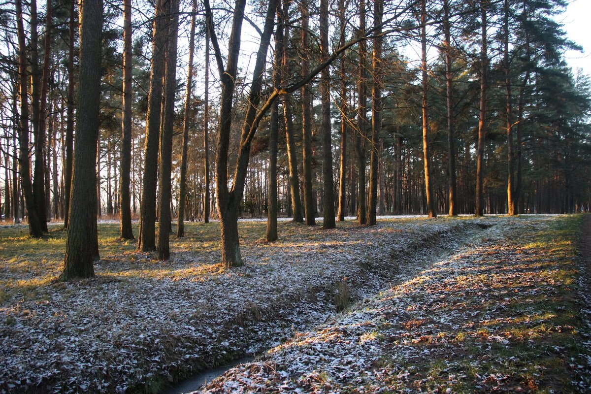 Парк Александрия - Наталья Герасимова Парк Александрия - Наталья Герасимова
