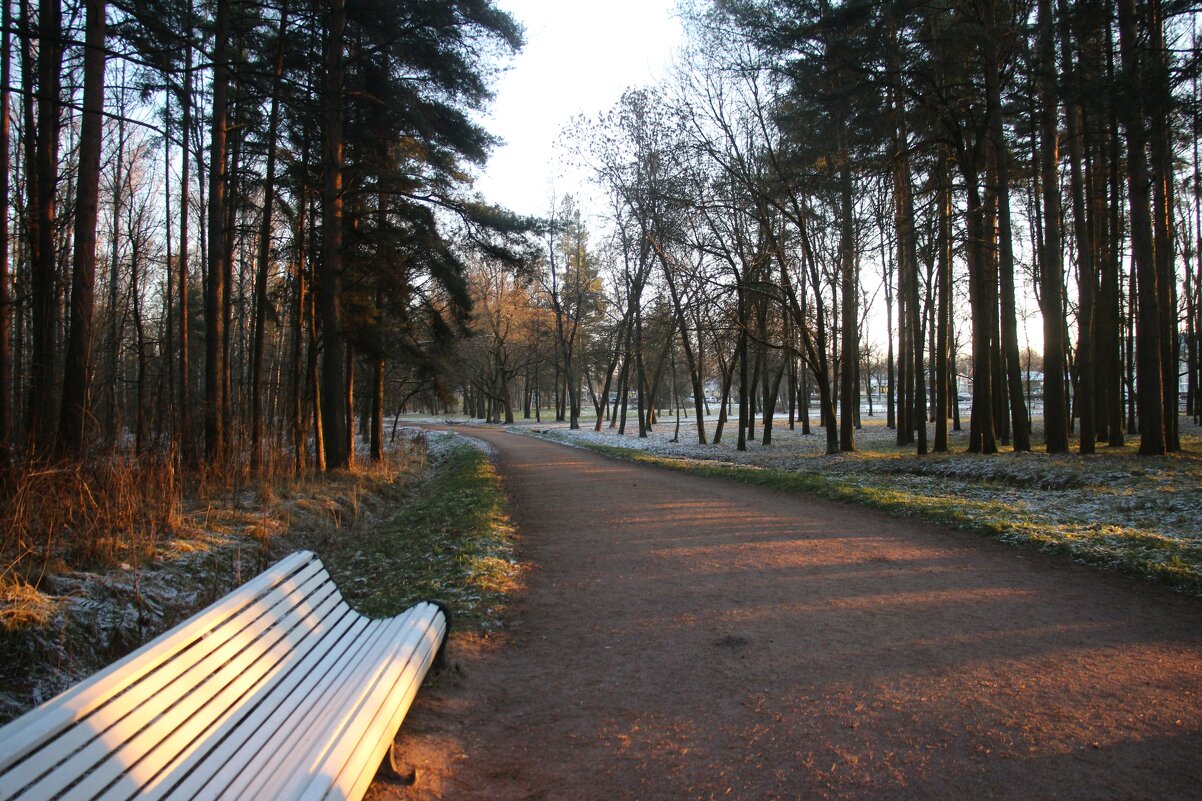 Парк Александрия - Наталья Герасимова Парк Александрия - Наталья Герасимова