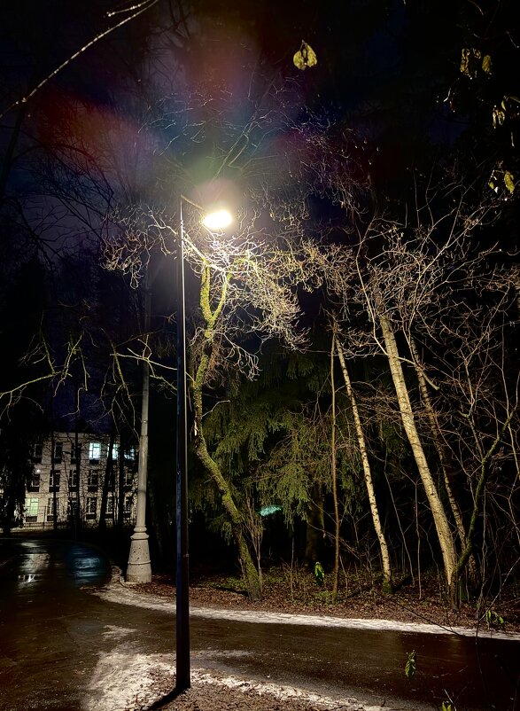 Фонарь, улица,….и прочее - Любовь Фонарь, улица,….и прочее - Любовь