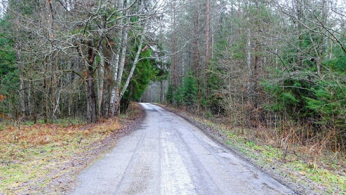 Дорога к Днепру в зимнем лесу. - Милешкин Владимир Алексеевич Дорога к Днепру в зимнем лесу. - Милешкин Владимир Алексеевич