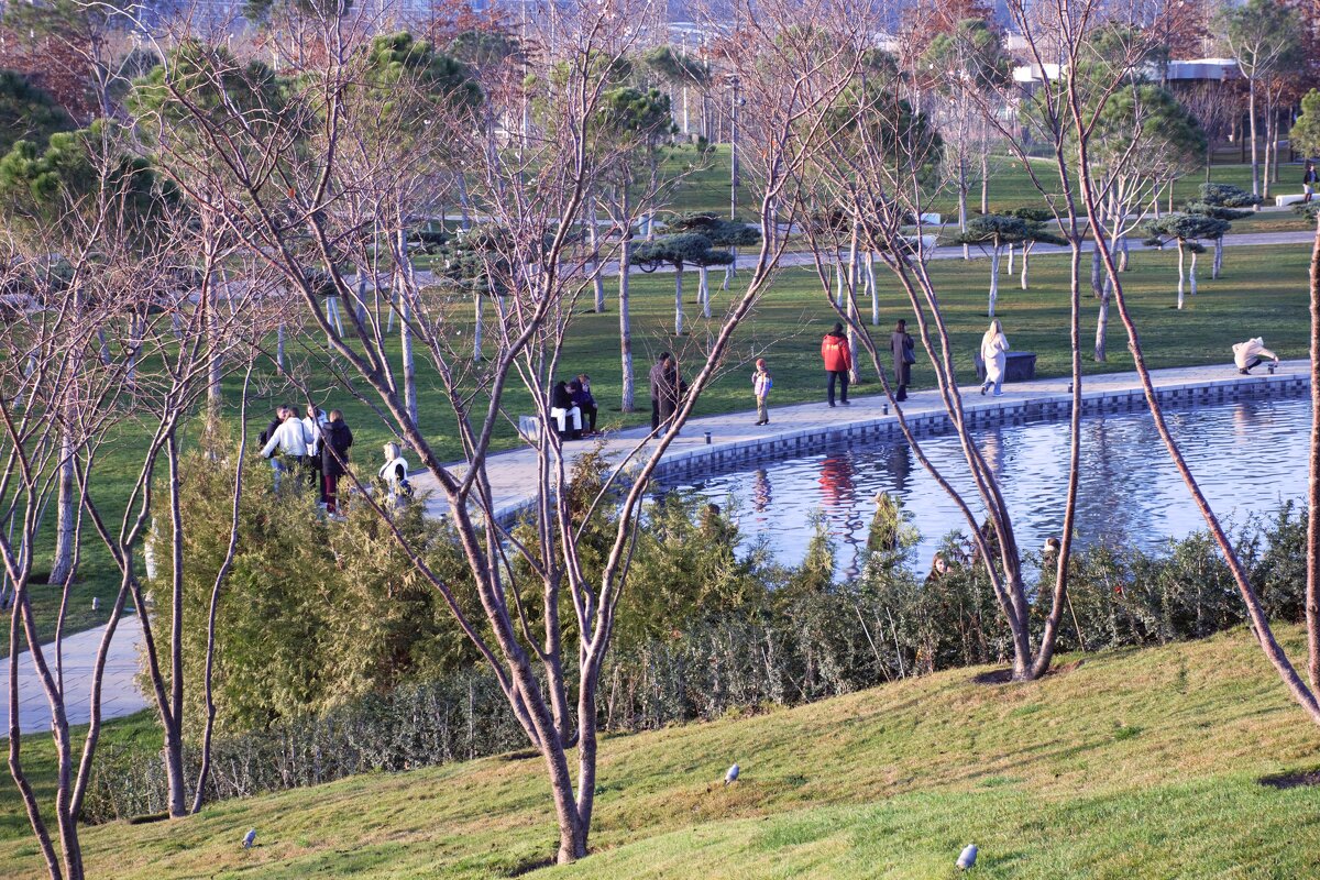 Ну нет зимы! - Юрий Полторыхин.