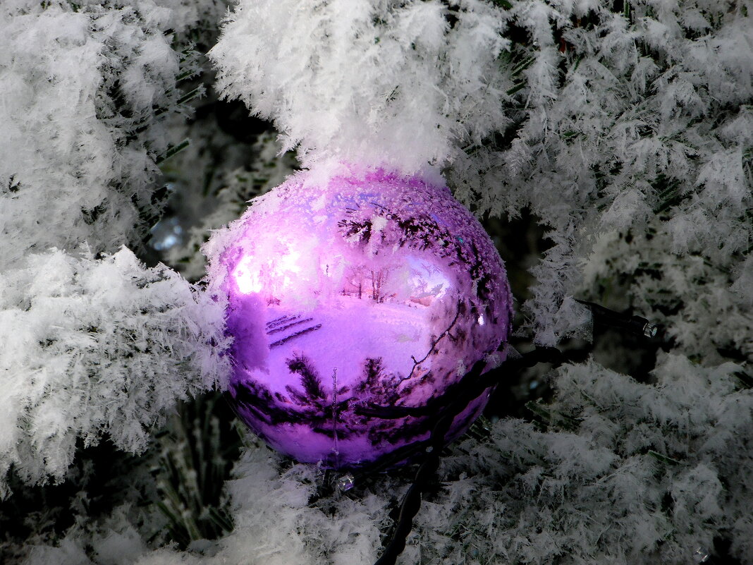 УЖЕ ЗАМЁРЗ НА ЁЛКЕ ШАРИК. - nadyasilyuk Вознюк УЖЕ ЗАМЁРЗ НА ЁЛКЕ ШАРИК. - nadyasilyuk Вознюк