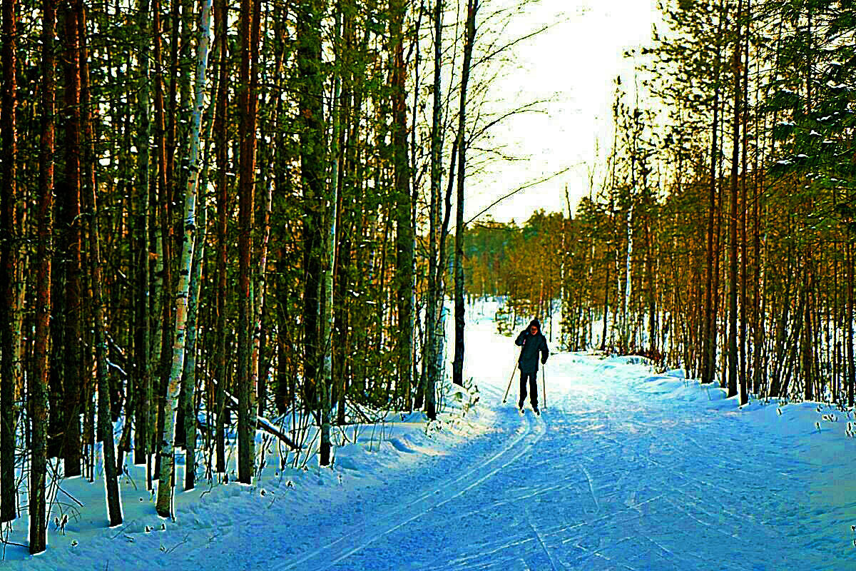 Январь...Одинокий лыжник! - Владимир 