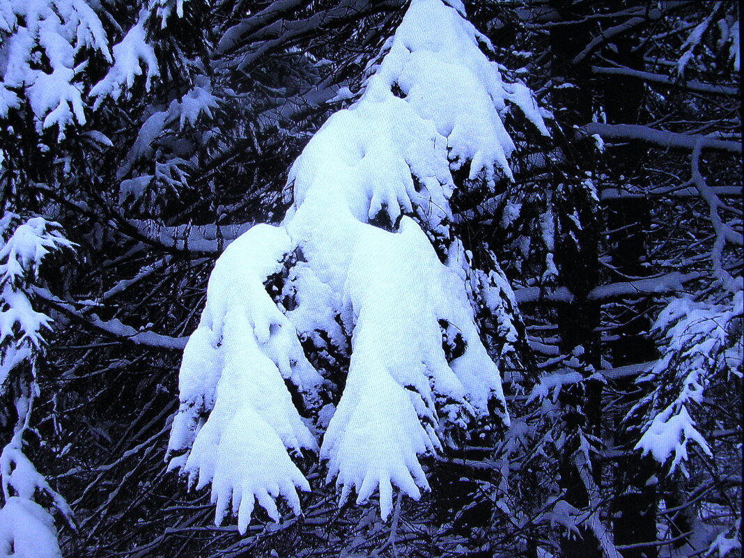 Красота - Людмила Смородинская Красота - Людмила Смородинская