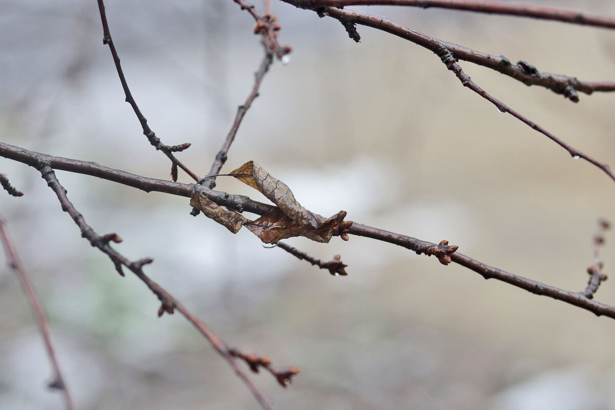 Уже тает... - Юрий Гайворонскiий Уже тает... - Юрий Гайворонскiий
