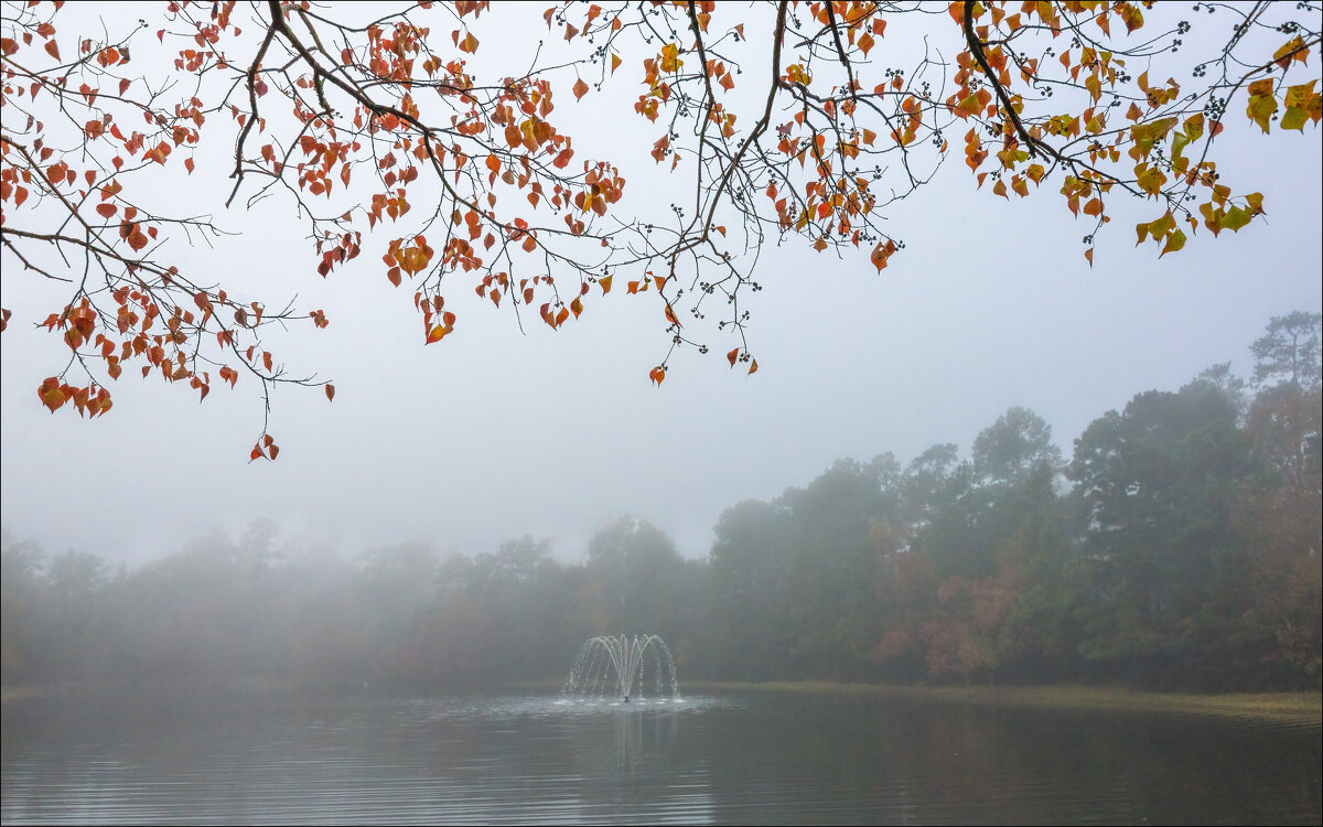 Утро - **** vedin Утро - **** vedin