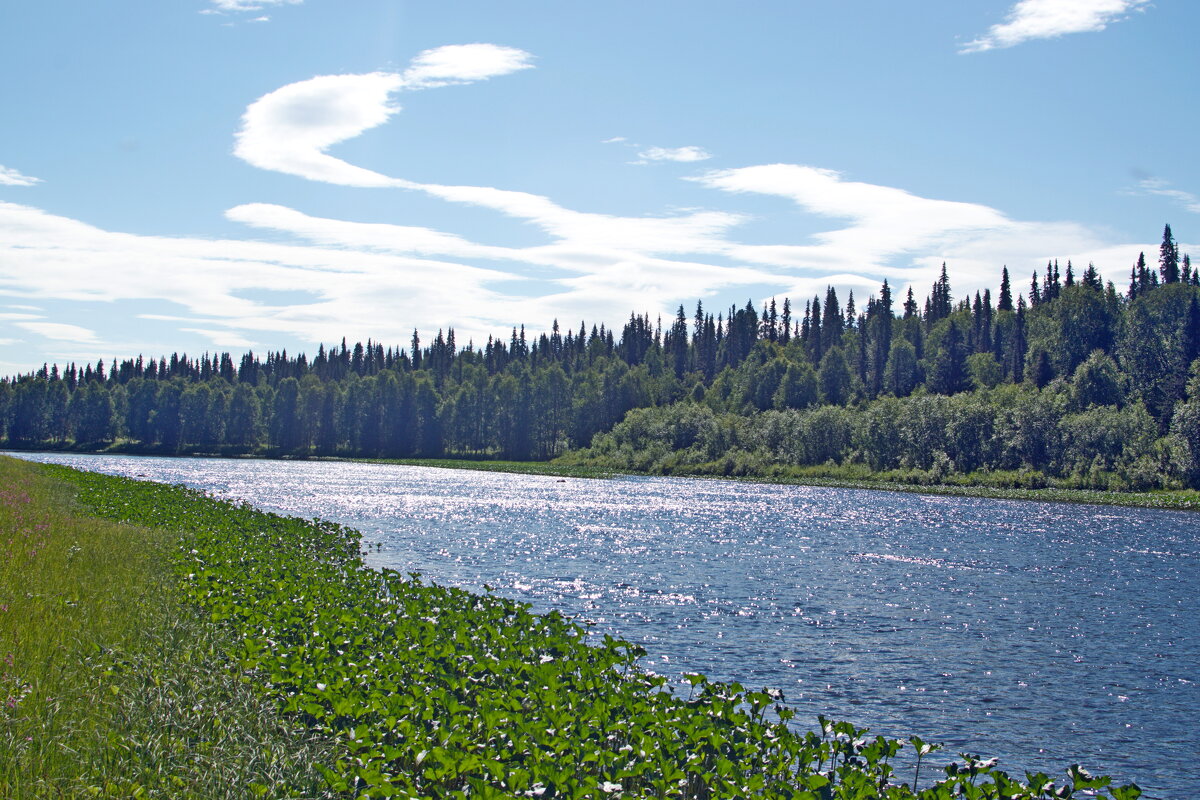 Блестит река. - ВикТор Быстров Блестит река. - ВикТор Быстров