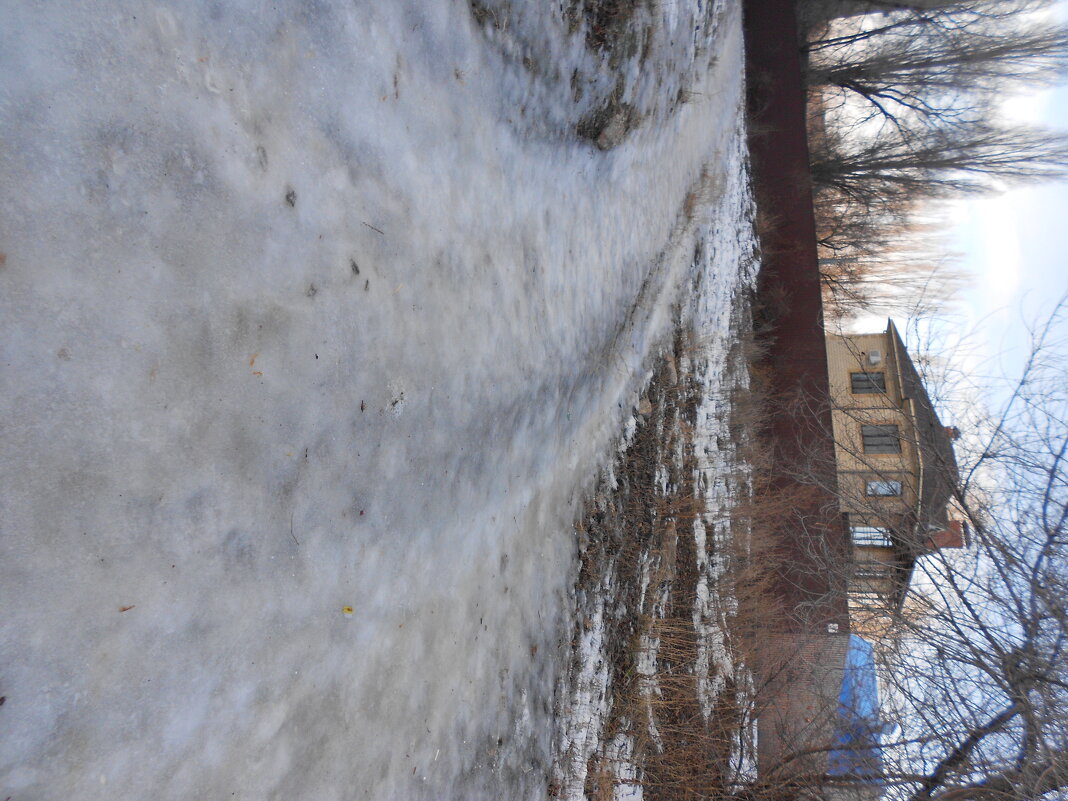 прошлогодний декабрь - Елена Шаламова