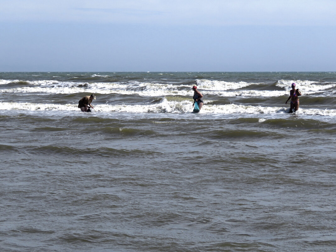 Сборщики мидий - ИРЭН@ . Сборщики мидий - ИРЭН@ .