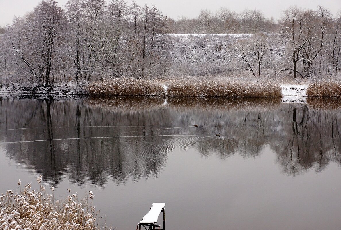 начало декабря... - Александр Герасенков начало декабря... - Александр Герасенков