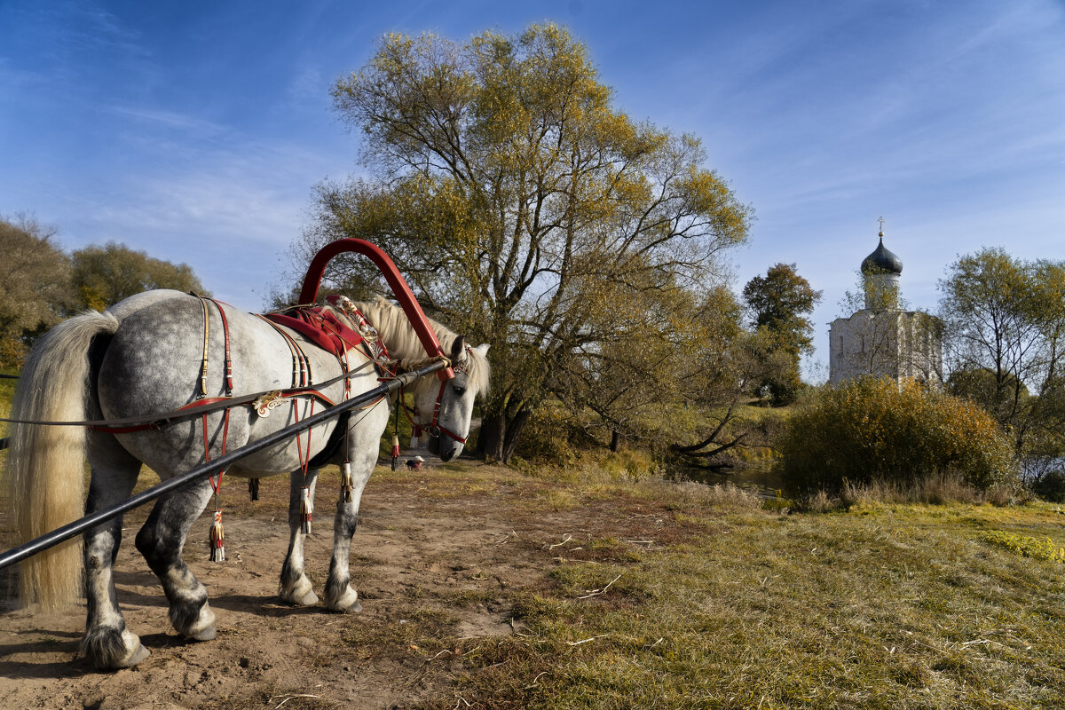 Это Русь - Александр Ковальчук Это Русь - Александр Ковальчук