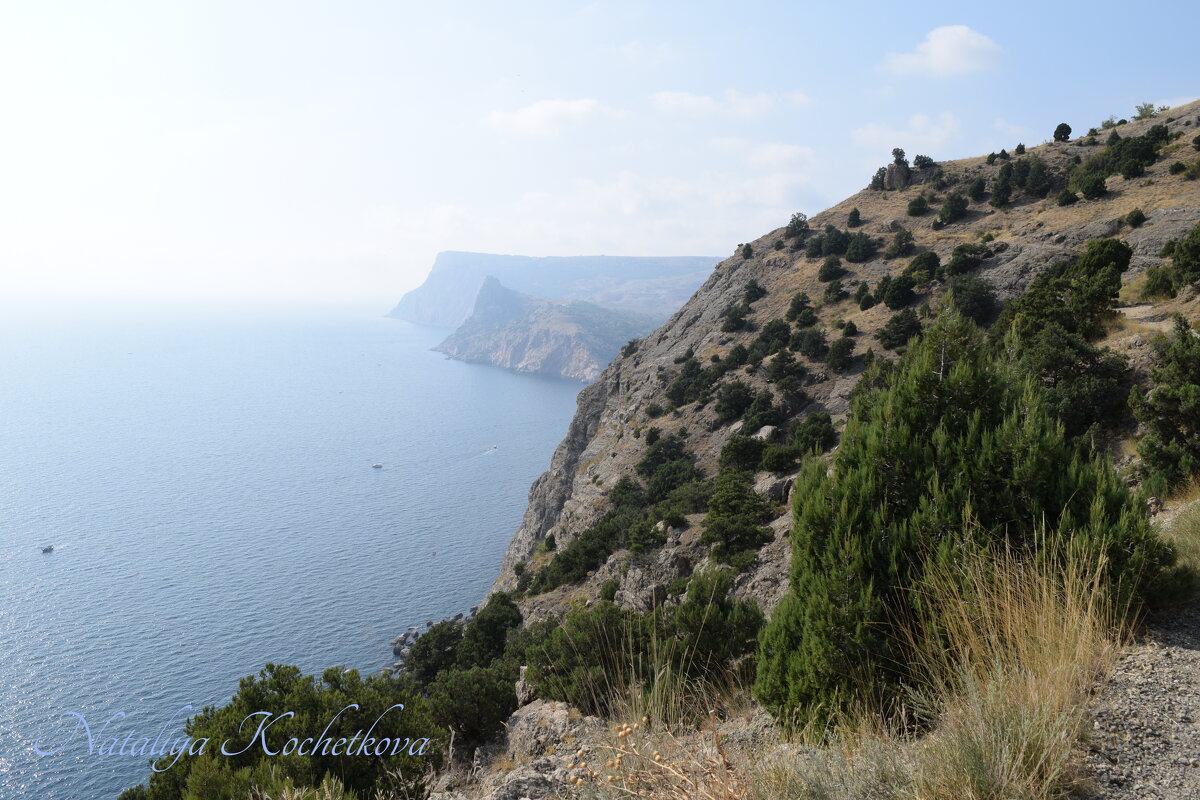 Природа Крыма - Amazing Cosmea