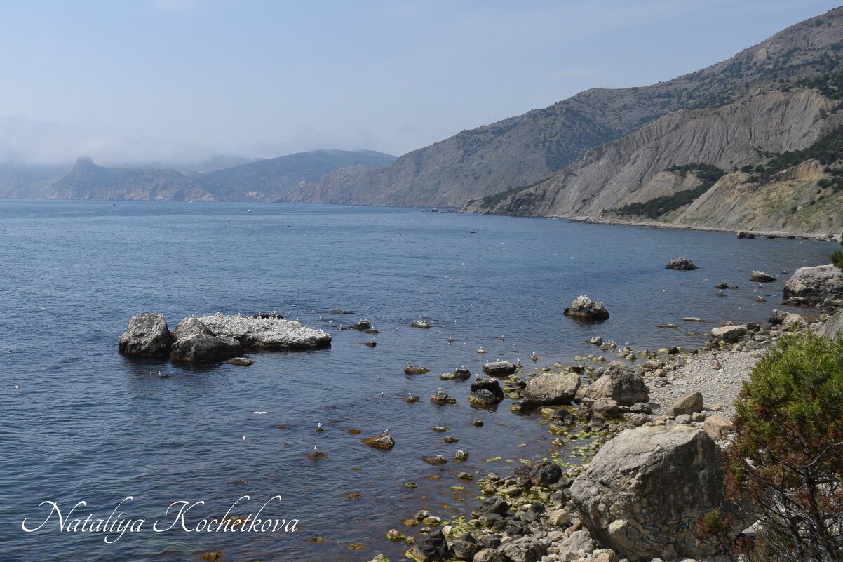 Природа Крыма - Amazing Cosmea Природа Крыма - Amazing Cosmea