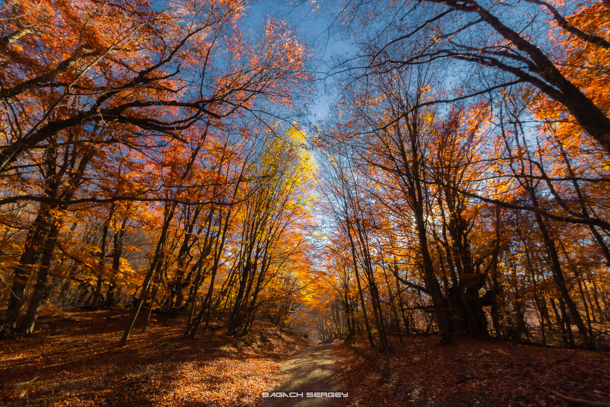 ОСЕНЬ ДЕМЕРДЖИ - Sergey Bagach