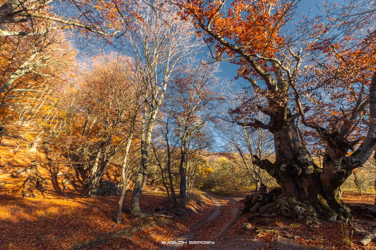 ОСЕНЬ ДЕМЕРДЖИ - Sergey Bagach ОСЕНЬ ДЕМЕРДЖИ - Sergey Bagach