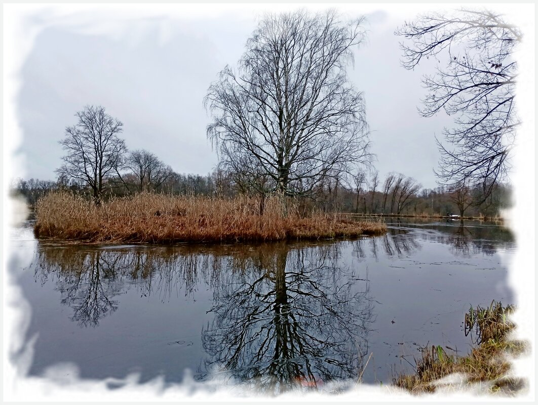 Декабрьский этюд. - Лия ☼ Декабрьский этюд. - Лия ☼