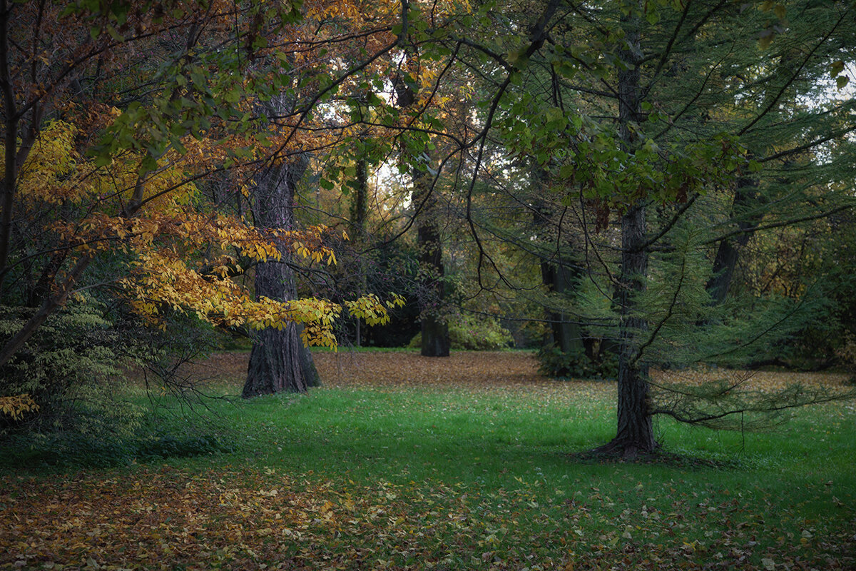 Осенняя зарисовка. - Лилия *