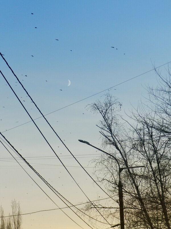 рассветное - Лера 