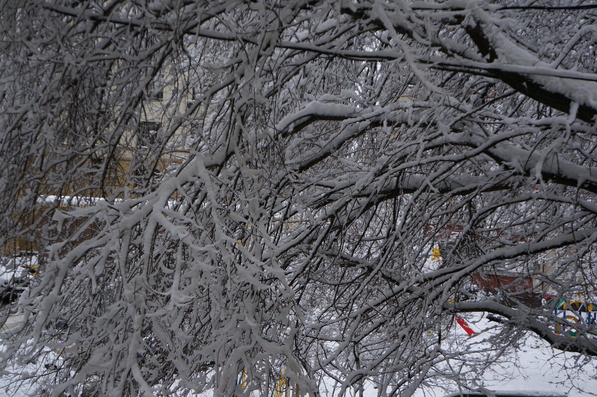 Зима .... - Алёна Савина