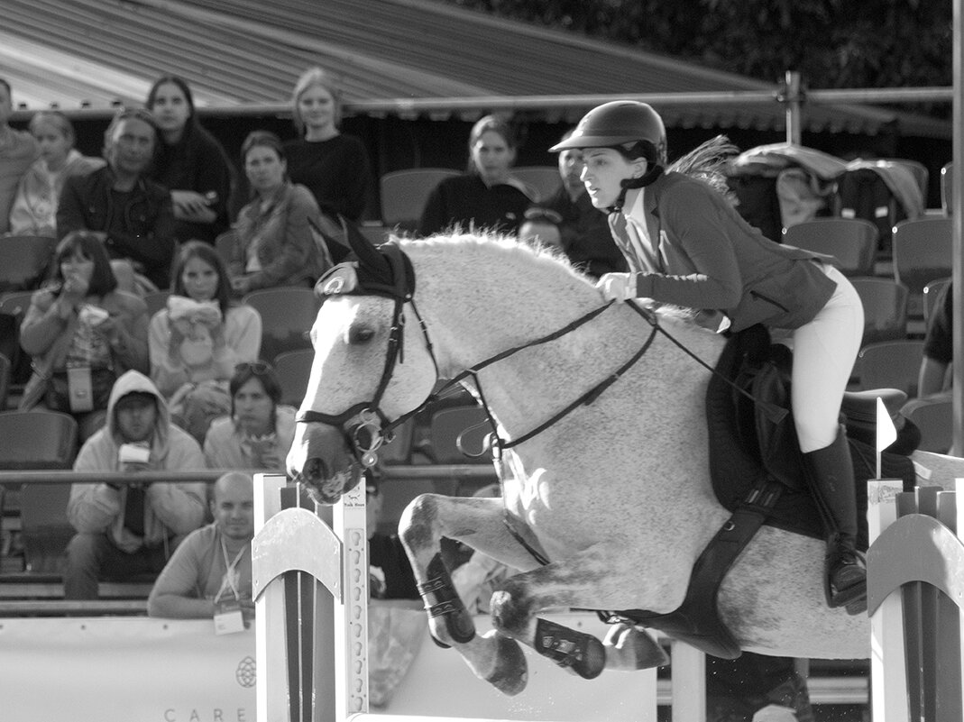 Конкур (1) - Алексей Смирнов