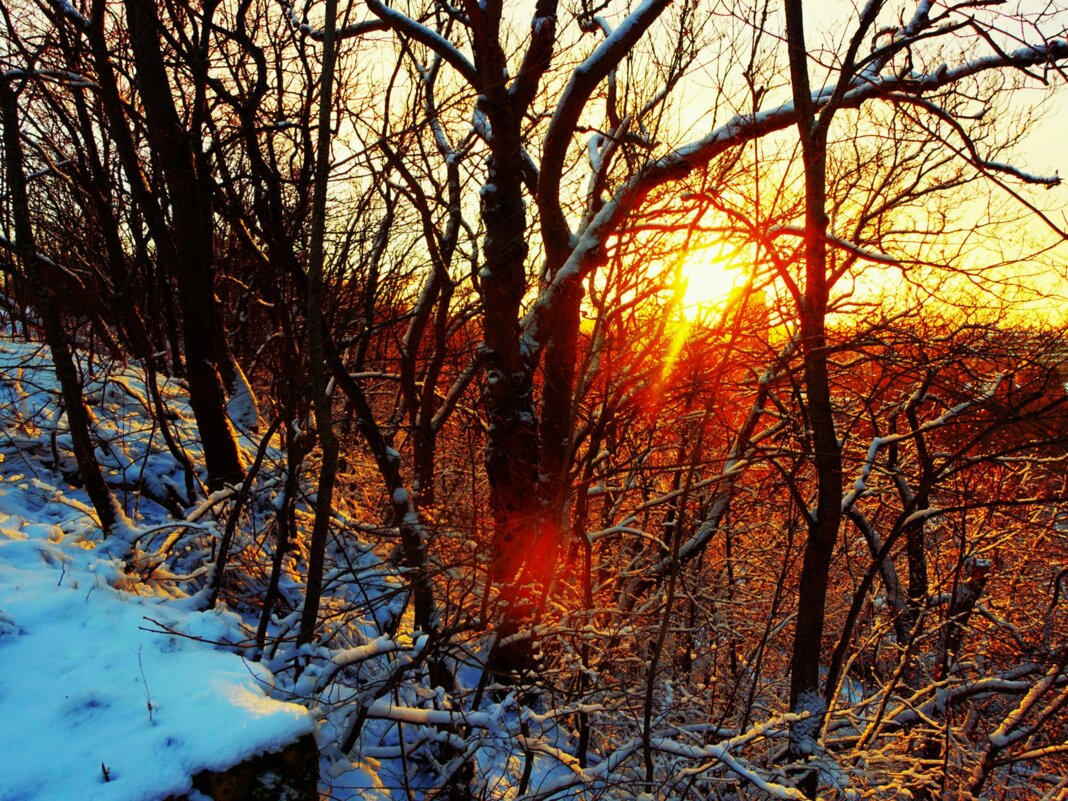 Яркий закат - Aida10 Яркий закат - Aida10