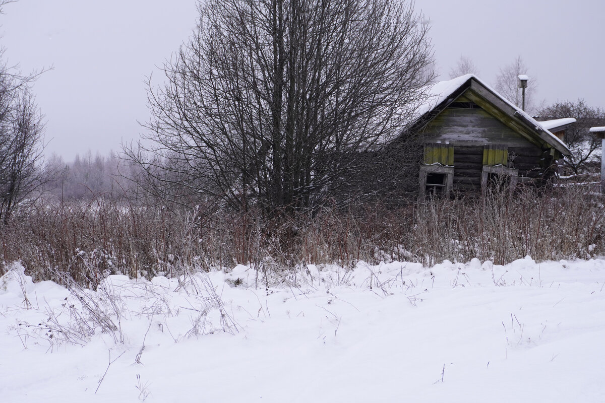 Доживающий. - Сергей Ц