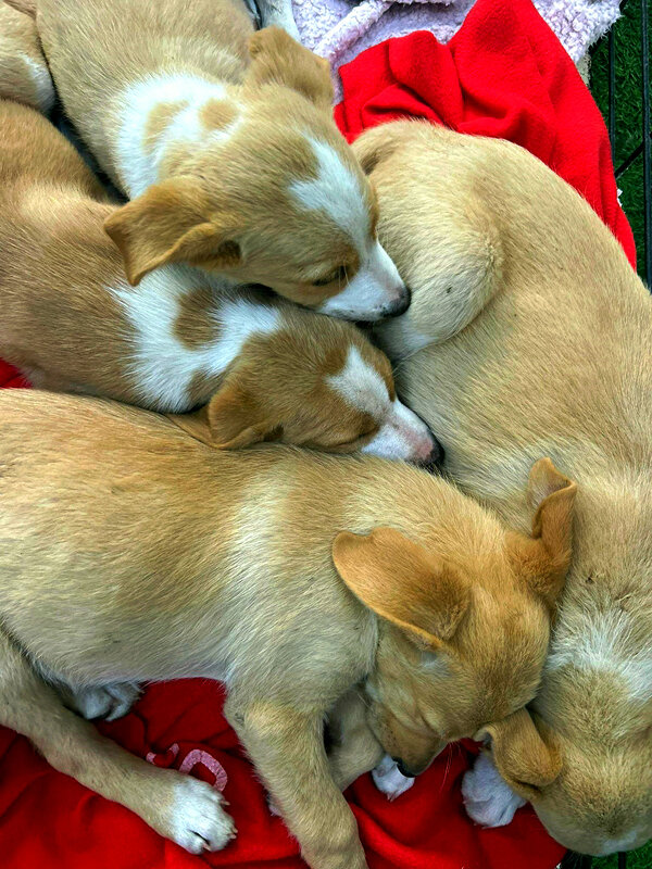 ВМЕСТЕ ТЕПЛЕЕ - Анатолий Малобродский ВМЕСТЕ ТЕПЛЕЕ - Анатолий Малобродский