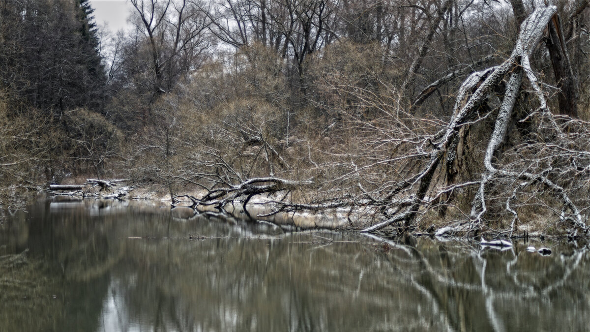 У глади воды лес - sorovey Sol У глади воды лес - sorovey Sol