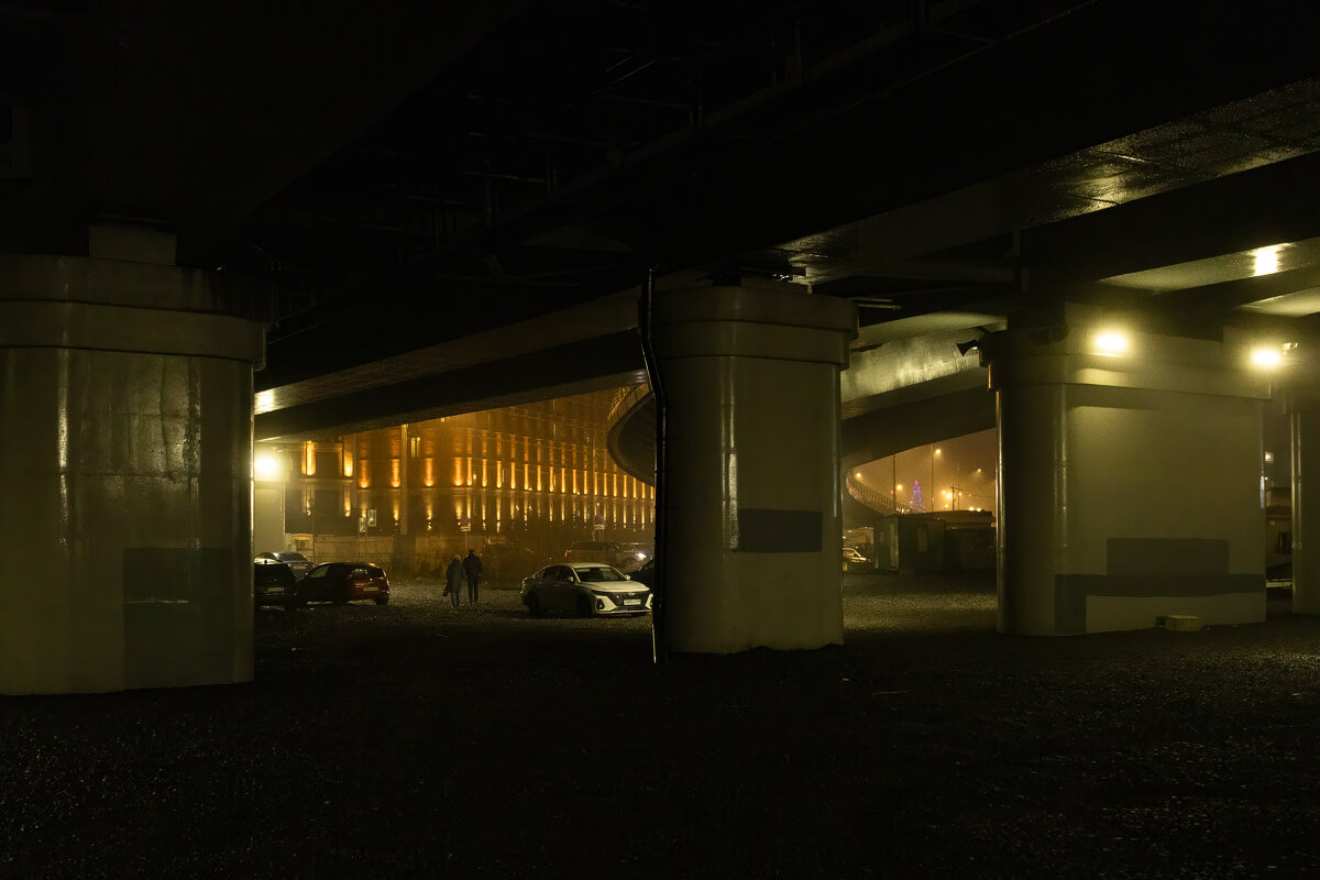 * - Светлана Воробьева