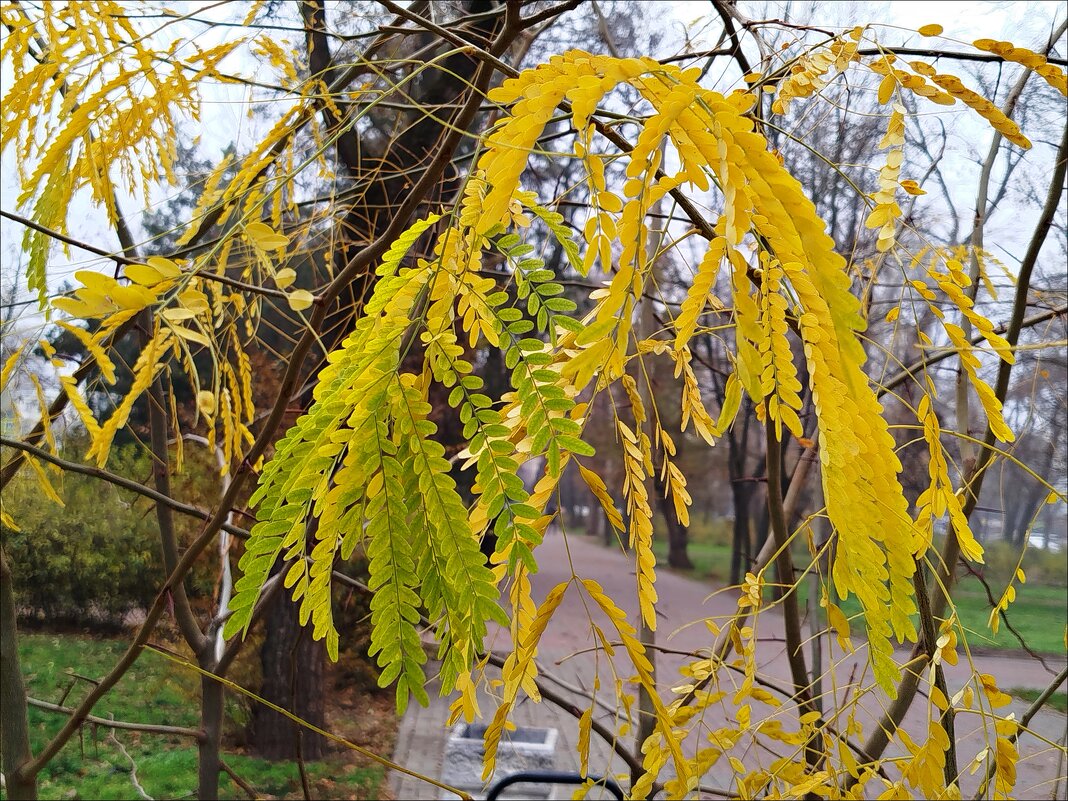 Это было недавно! - Надежда Это было недавно! - Надежда