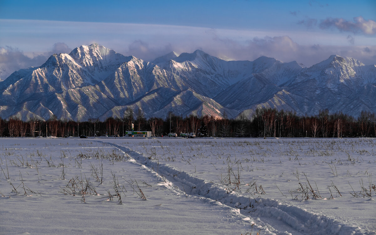 ... - Жора Житников ... - Жора Житников