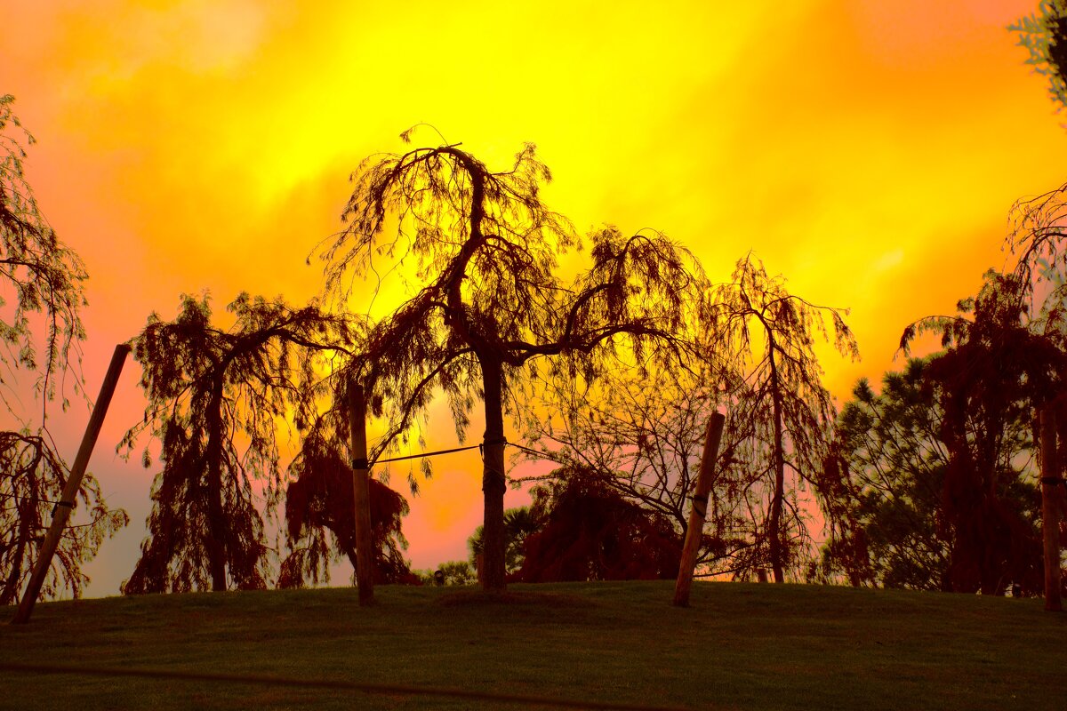 Драмма. - Юрий Полторыхин.